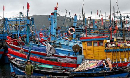 Pembangunan 1.500 Kapal Nelayan Penguatan Sektor Perikanan