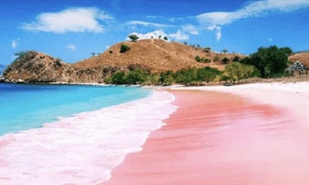 Wisata Bahari Pulau Komodo dan Pilihan Paket Perjalanan