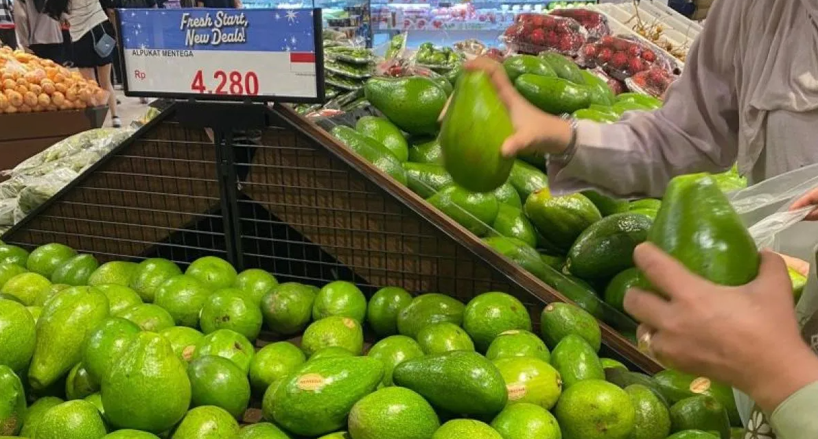 Alpukat untuk Kesehatan Jantung dan Sistem Kardiovaskular