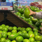 Alpukat untuk Kesehatan Jantung dan Sistem Kardiovaskular