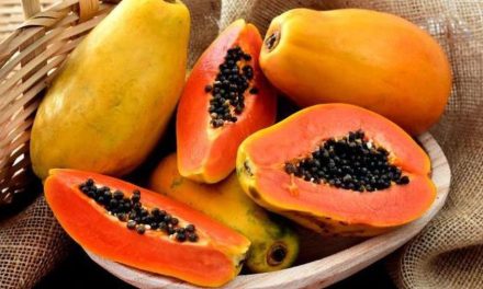 Pepaya dan Kombinasi Makanan yang Perlu Dihindari