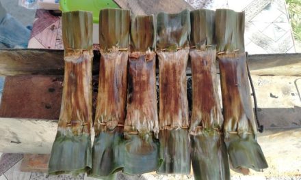 Pulut Panggang Khas Bireuen Hadir di Binjai