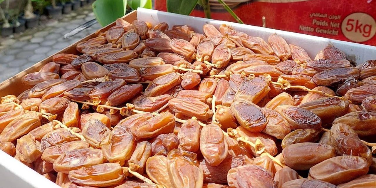 Rekomendasi Beli Kurma Grosir di Yogyakarta untuk Ramadan