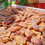 Rekomendasi Beli Kurma Grosir di Yogyakarta untuk Ramadan