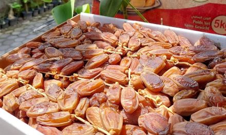 Rekomendasi Beli Kurma Grosir di Yogyakarta untuk Ramadan