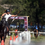 Ekosistem Berkuda Indonesia Prestasi, Pelestarian Budaya
