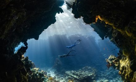 Kemenpar Dorong Wisata Selam Indonesia Pilar Pariwisata Bahari