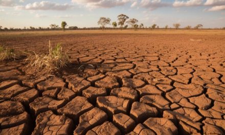 Godzilla El Nino 2026: Prediksi Intensitas, Dampak Pertanian