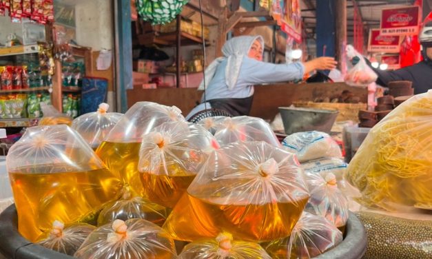 Kenaikan Harga Minyak Goreng Dampak Kebijakan Biodiesel B50