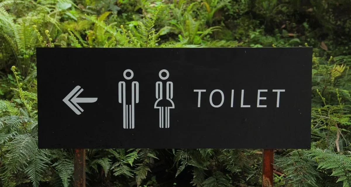 Kebiasaan Main Ponsel di Toilet Picu Wasir, Penjelasan Dokter