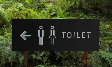 Kebiasaan Main Ponsel di Toilet Picu Wasir, Penjelasan Dokter