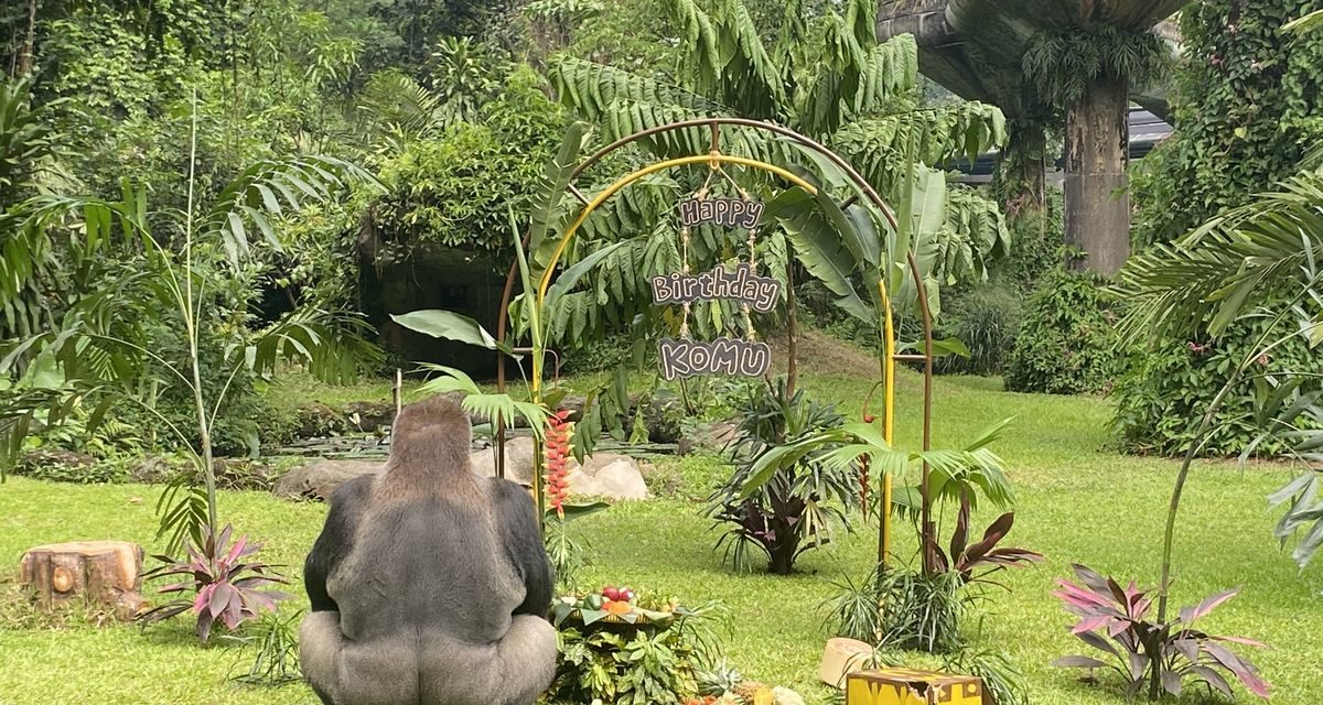 Ragunan Tetap Buka 17 Agustus 2026 Saat Libur HUT ke-81 RI