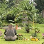 Ragunan Tetap Buka 17 Agustus 2026 Saat Libur HUT ke-81 RI
