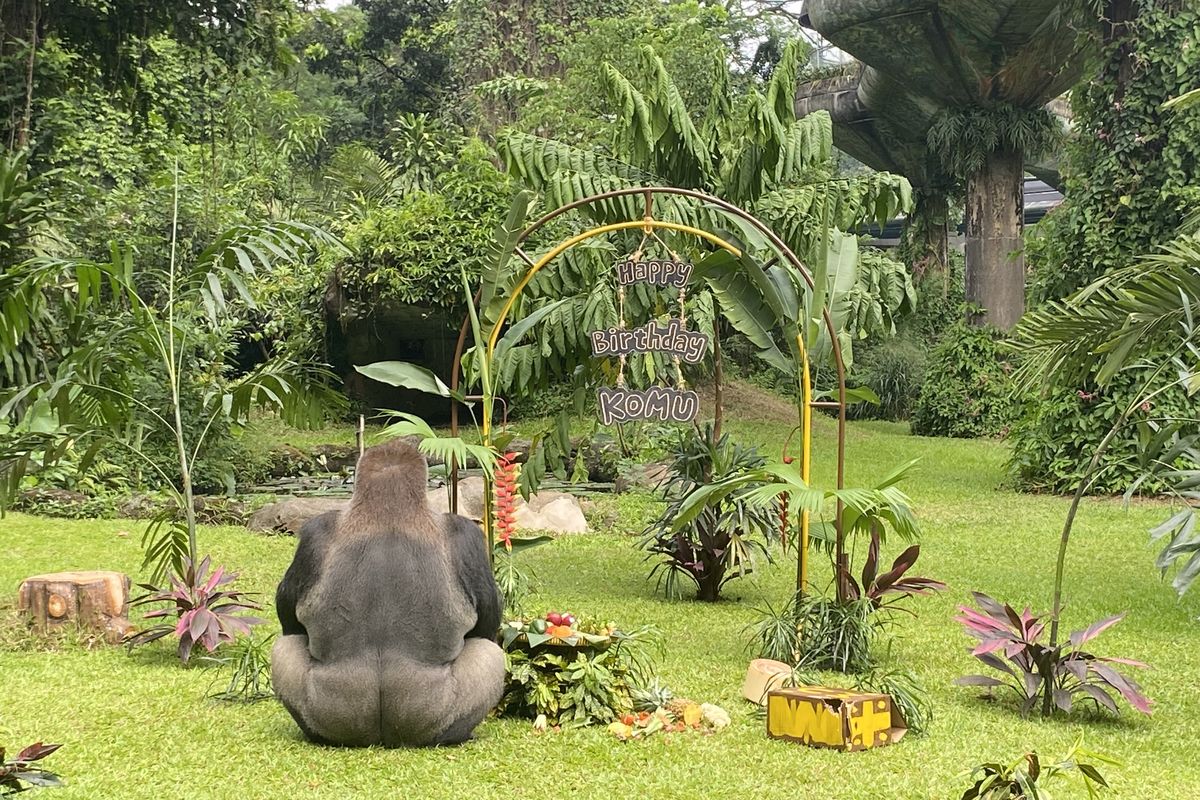 Ragunan Buka 17 Agustus 2026