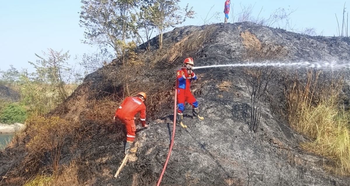 Kebakaran Lahan 3,5 Hektare di Indramayu Nyaris Sambar Greenhouse Warga