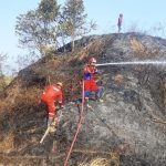 Kebakaran Lahan 3,5 Hektare di Indramayu Nyaris Sambar Greenhouse Warga