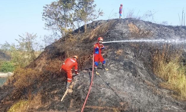 Kebakaran Lahan 3,5 Hektare di Indramayu Nyaris Sambar Greenhouse Warga