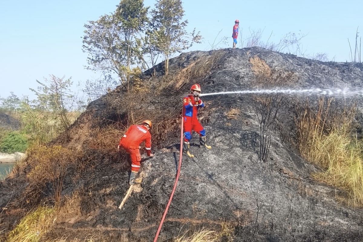 Kebakaran Lahan Di Indramayu