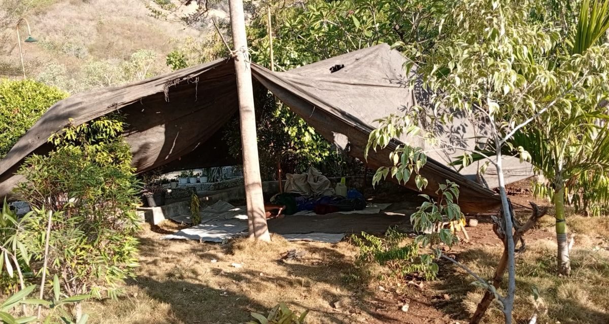 Pengiriman Logistik untuk Korban Gempa NTT Diperkuat, BNPB Kerahkan Pesawat dan KRI