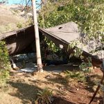 Pengiriman Logistik untuk Korban Gempa NTT Diperkuat, BNPB Kerahkan Pesawat dan KRI