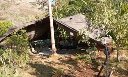 Pengiriman Logistik untuk Korban Gempa NTT Diperkuat, BNPB Kerahkan Pesawat dan KRI