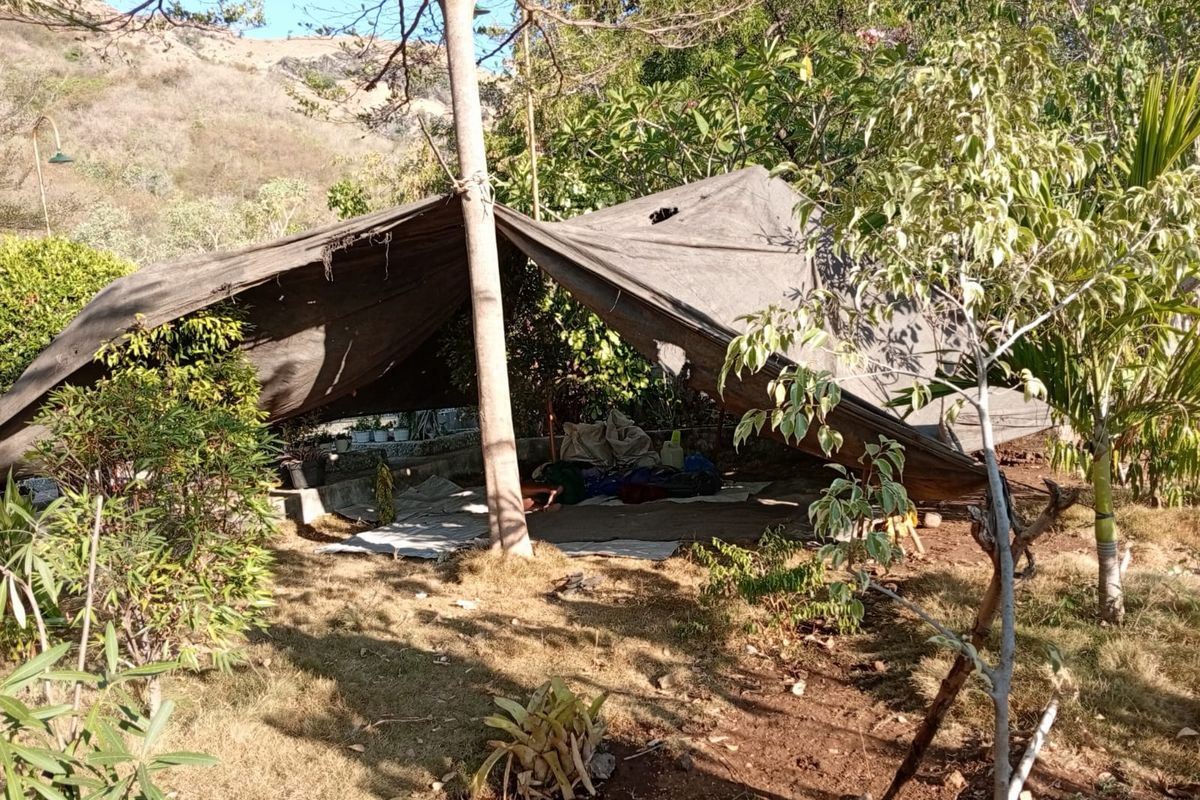 bantuan gempa NTT
