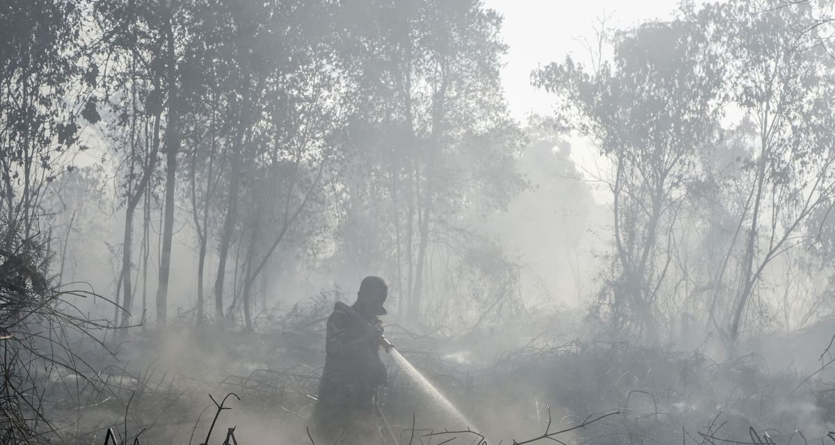 BNPB Ungkap Kendala Penanganan Karhutla di Enam Provinsi Prioritas