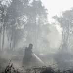 BNPB Ungkap Kendala Penanganan Karhutla di Enam Provinsi Prioritas
