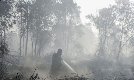 BNPB Ungkap Kendala Penanganan Karhutla di Enam Provinsi Prioritas