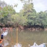 Tradisi Menuba Hulu Arut, Warisan Leluhur yang Membawa Harapan Hujan di Tengah Kemarau