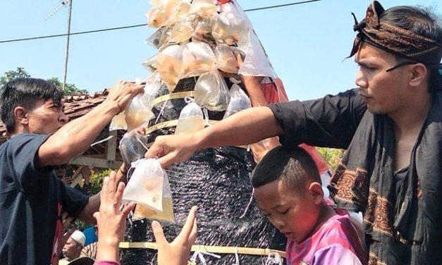 Gunungan Ikan Meriahkan Merti Desa Ngrajek Magelang, Warga Antusias Berebut Ikan