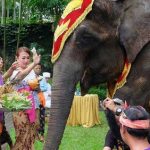 Tumpek Uye di Bali, Tradisi Hindu yang Mengajarkan Kasih Sayang terhadap Satwa