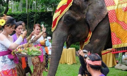 Tumpek Uye di Bali, Tradisi Hindu yang Mengajarkan Kasih Sayang terhadap Satwa