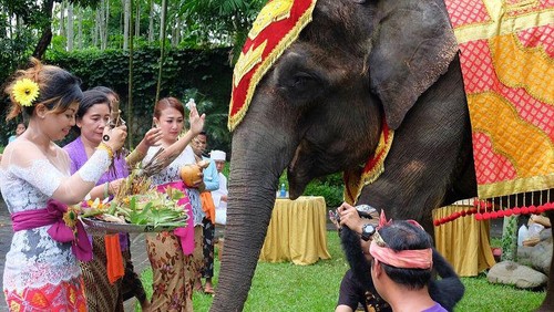 Tumpek Uye di Bali, Tradisi Hindu yang Mengajarkan Kasih Sayang terhadap Satwa